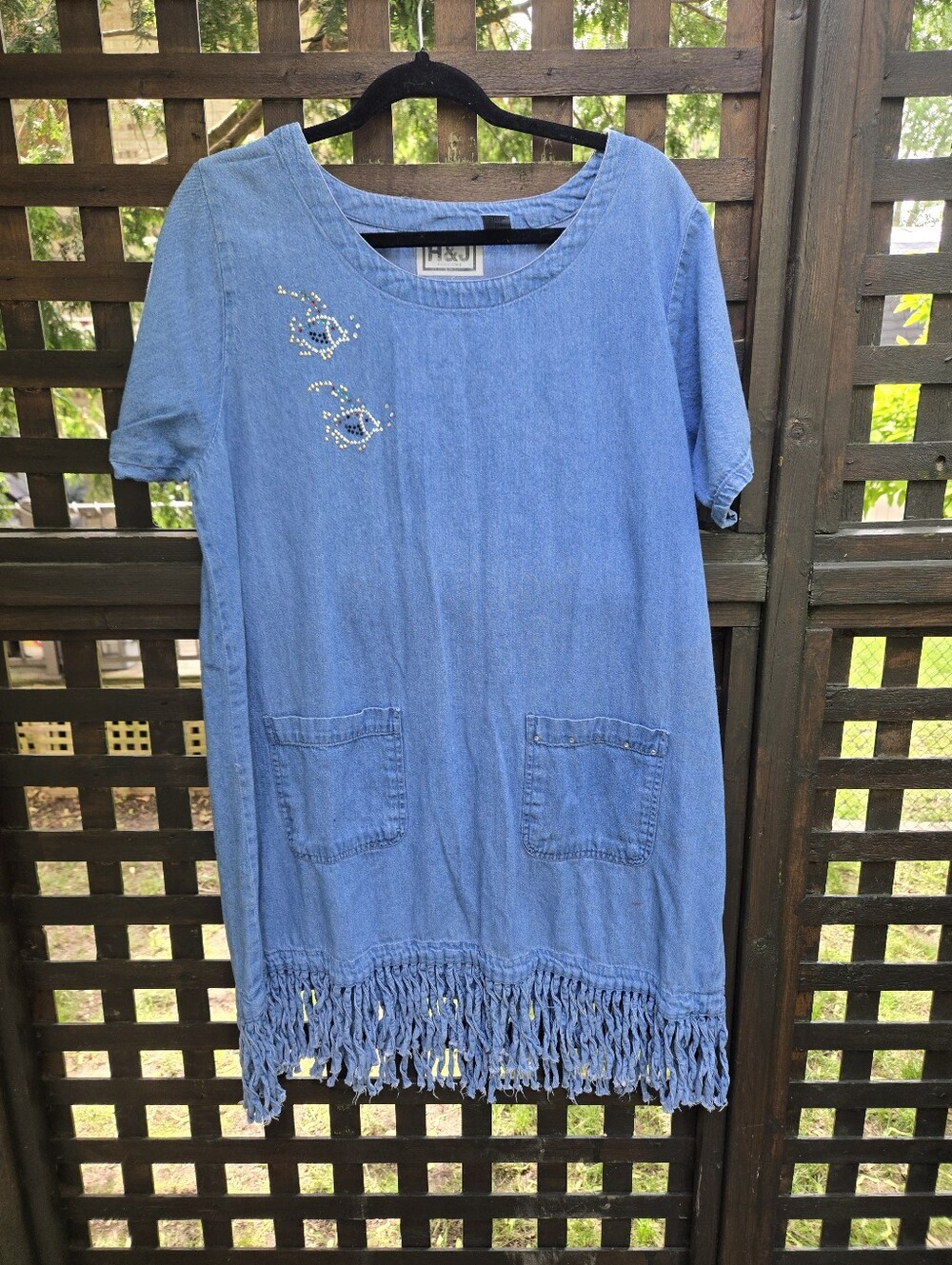 Adorable Vintage Denim Fringe Dress